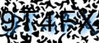 grafischer Sicherheitscode