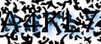 grafischer Sicherheitscode
