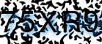 grafischer Sicherheitscode