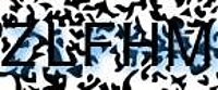 grafischer Sicherheitscode