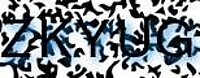 grafischer Sicherheitscode
