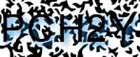grafischer Sicherheitscode