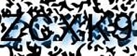 grafischer Sicherheitscode