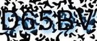 grafischer Sicherheitscode