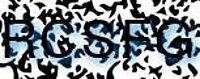grafischer Sicherheitscode